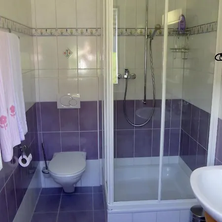 Les Acacias Oda ve Kahvaltı Le Châble